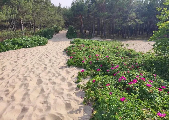 Arkodes Apartmán Gdaňsk