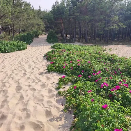 Arkodes Lejlighed Gdańsk