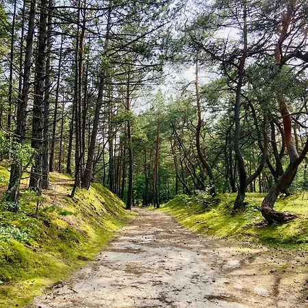 شقة Arkodes غدانسك