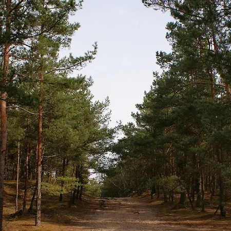 Arkodes * Gdaňsk