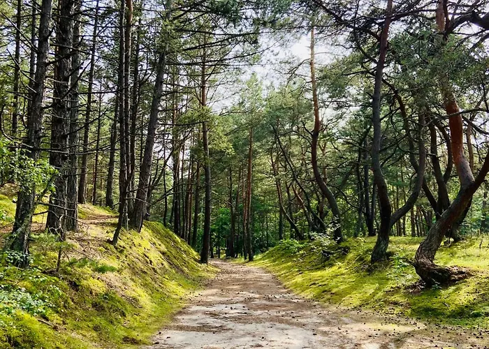 דירה Arkodes גדנסק